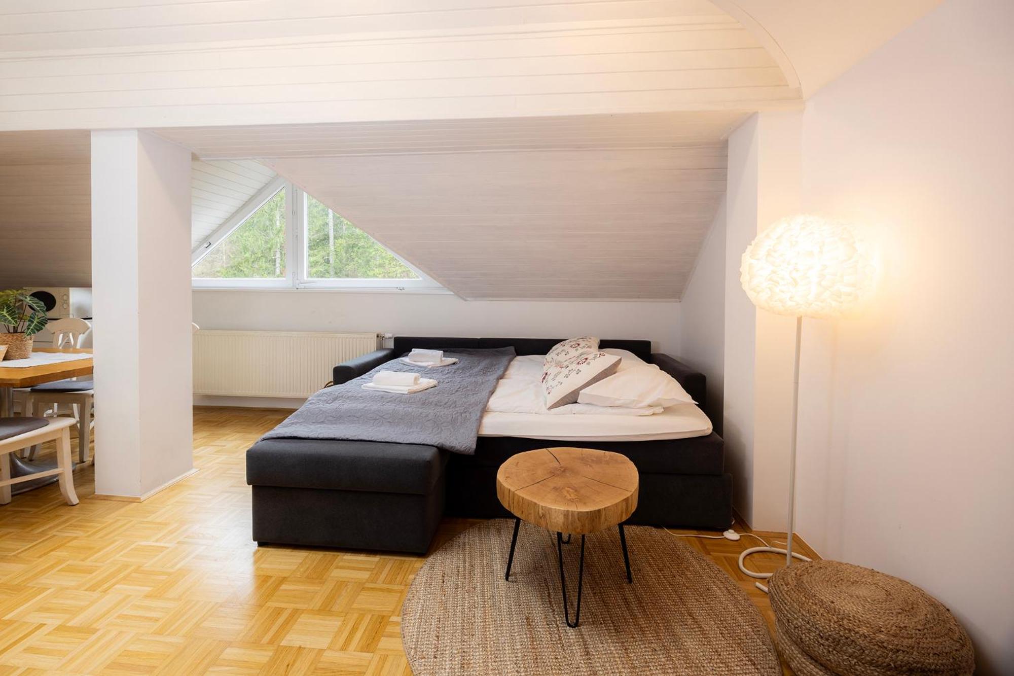 Apartma Pehta Kranjska Gora Extérieur photo